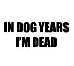 IN DOG YEARS I'M DEAD DECAL STICKER