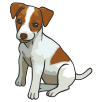 Baby Jack Russel Sticker