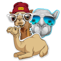 Camel Thumbnail