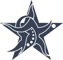 Cool Tribal Star Sticker