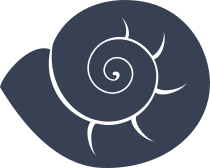 Delicate Seashell Sticker