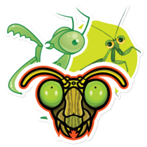 Praying Mantis Thumbnail