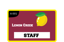 Rectangle With Border Parking Permit Sticker