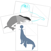 Seal & Sea Lion Stickers