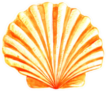 Seashell Watercolor Illustration In Yellow Sticker