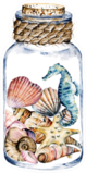 Seashells and Seahorse In Glass Jar, Marine Scenery Sticker