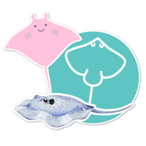 Stingray Manta Ray Thumbnail