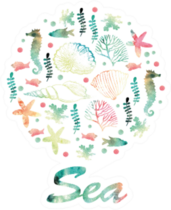 Watercolor Sea Illustration Of Seashells Sticker